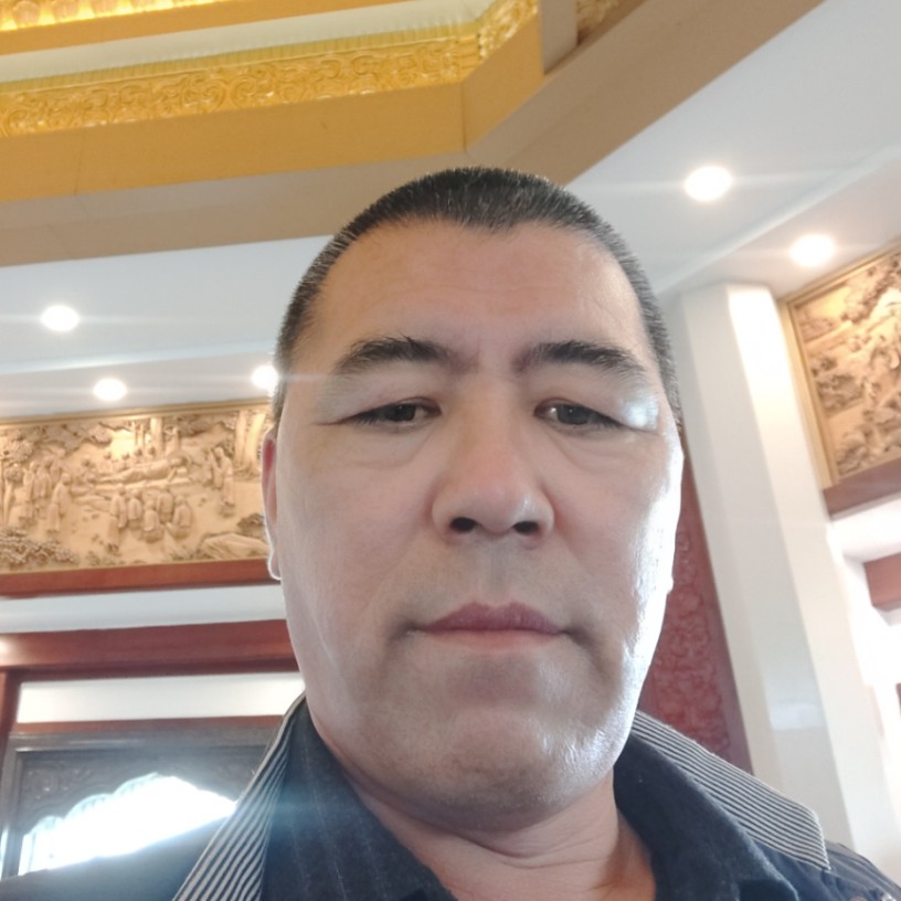 沉静放弃太阳的照片