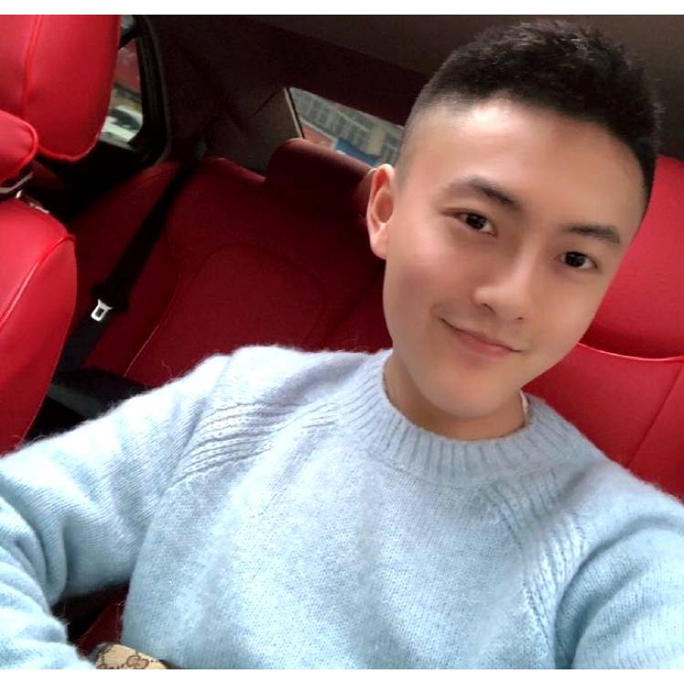 碧影灵巧的照片