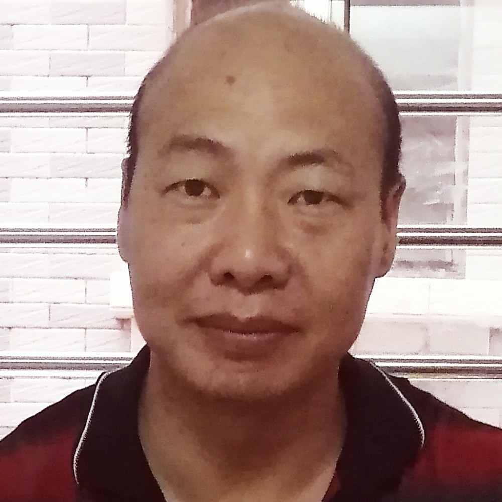 含羞草多么健壮的照片