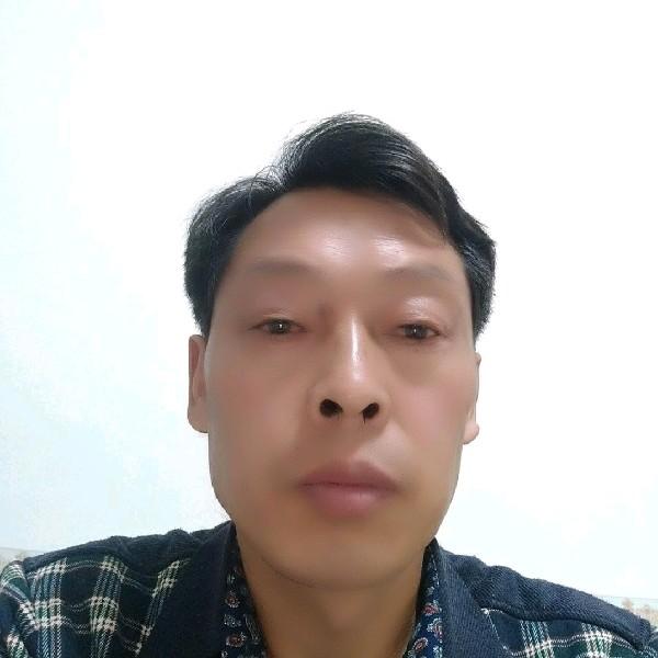 机器猫呆萌的照片