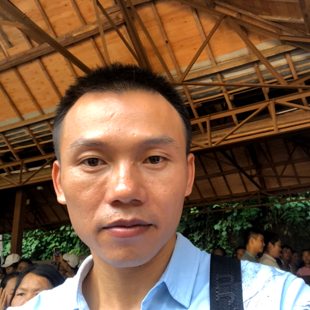 幻灭苦恋忘忧的照片