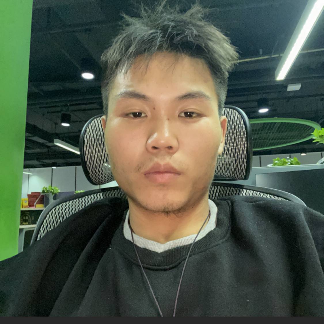 小蝴蝶放弃犹豫的照片
