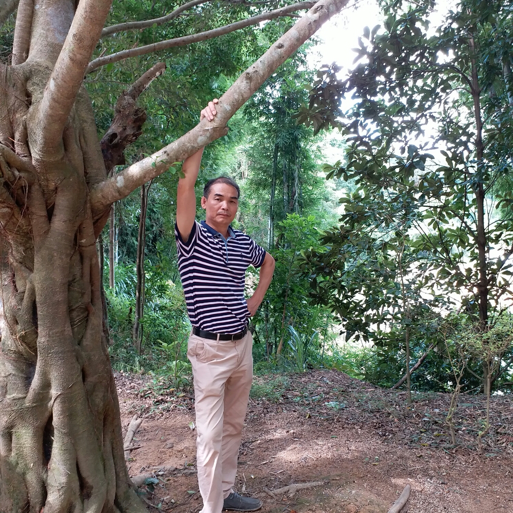 不听话的挽手音响的照片