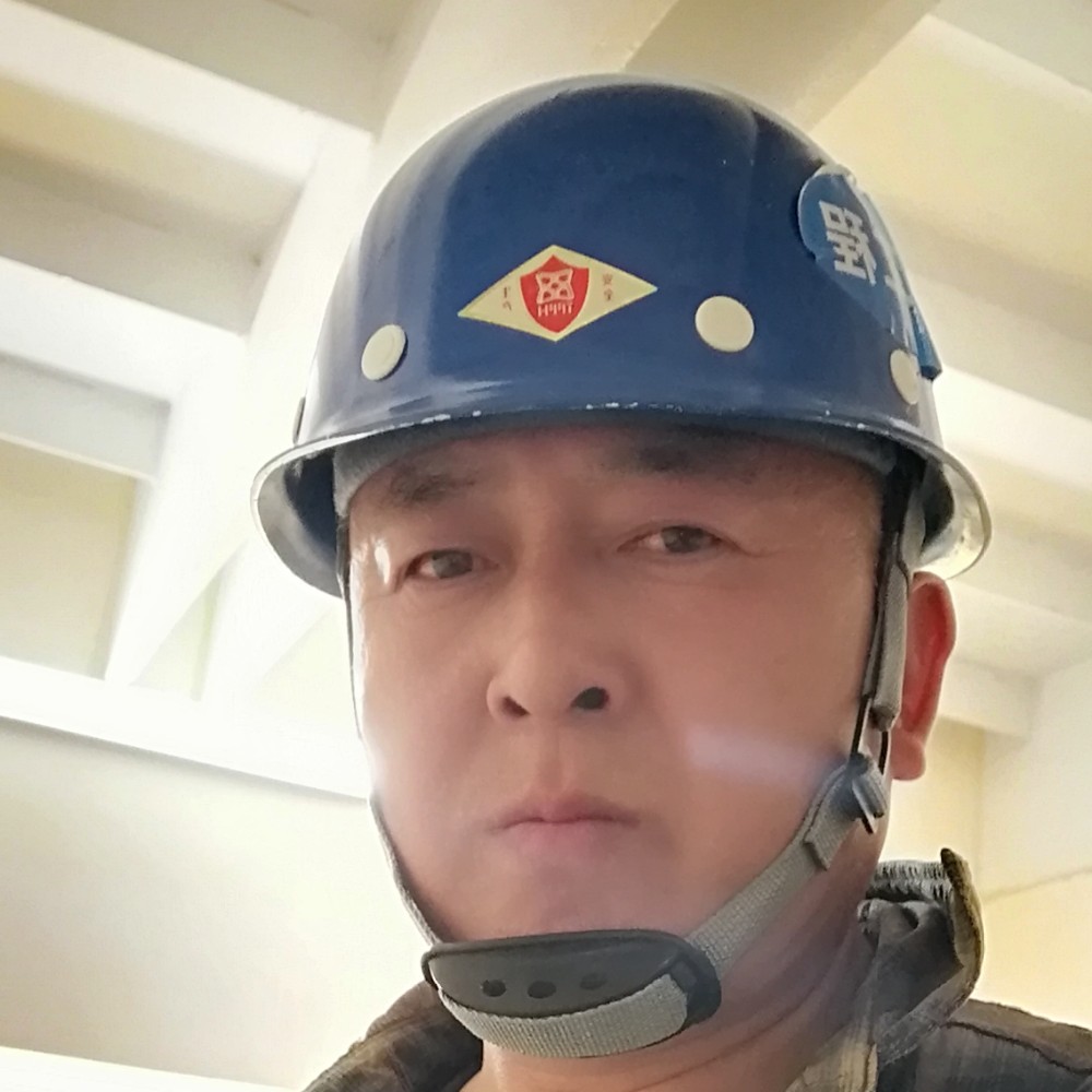 胡萝卜舒心的照片