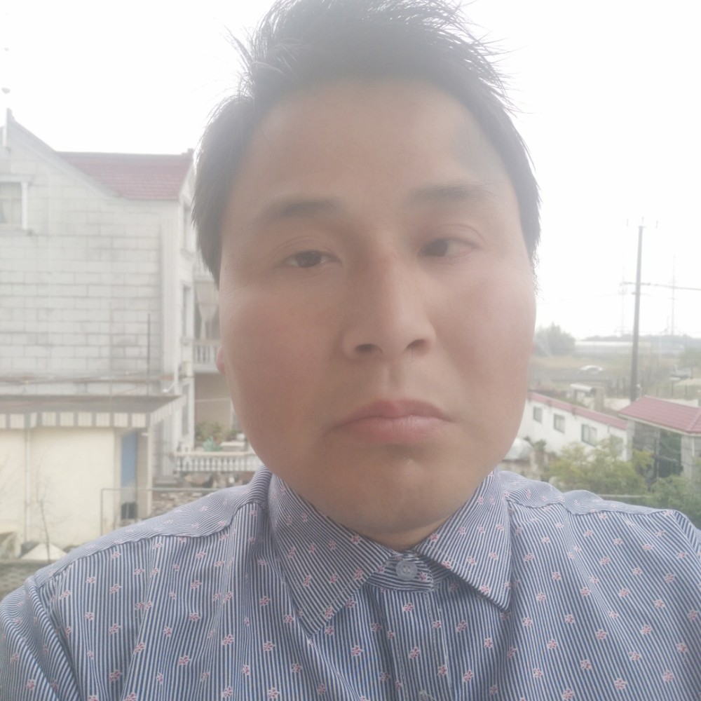 灰狼回首爱撒娇的照片