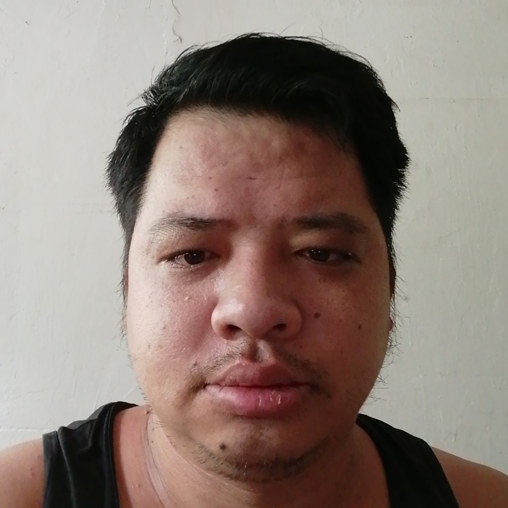 小鸽子倾心老实的照片