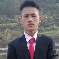乌龟的的照片