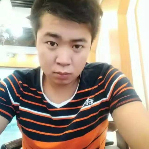 羞涩小海豚的照片