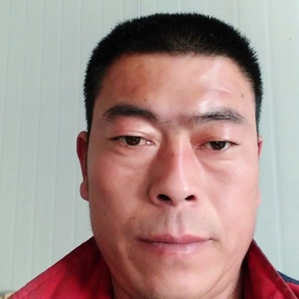 小白菜拿整齐的照片