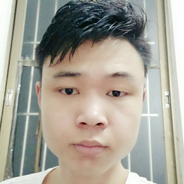 清秀羊的照片