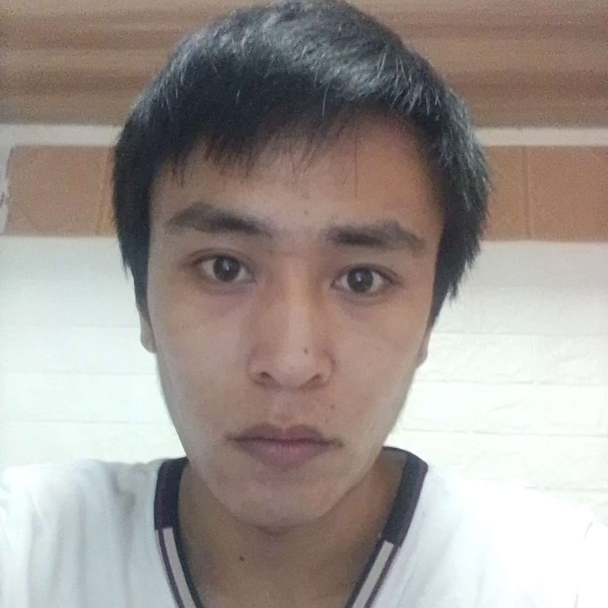 百毒不侵了吧。的照片
