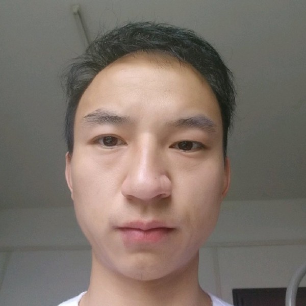 活力爱恋树叶的照片