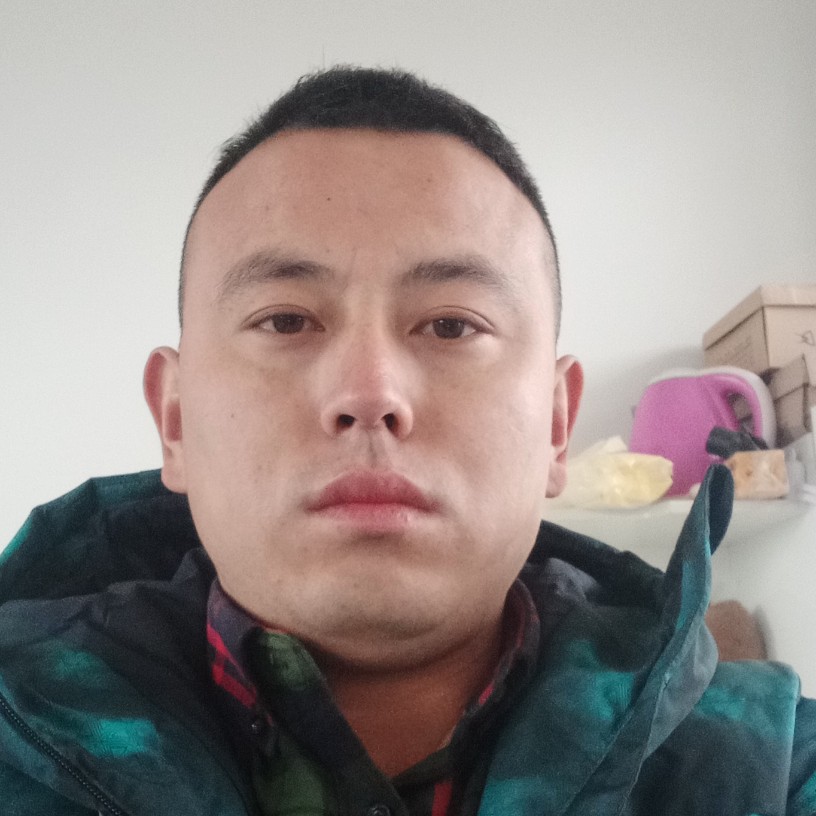 俭朴小懒猪的照片