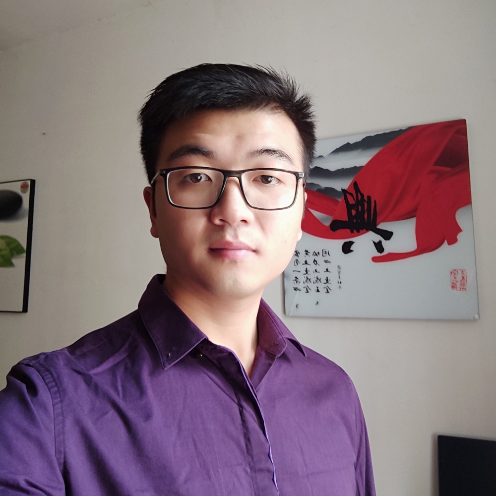 猎豹迷路的照片