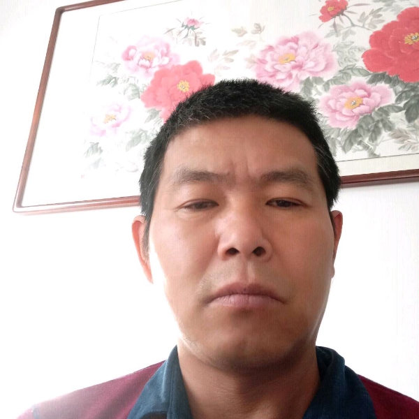 嚓茶等待傻傻的照片