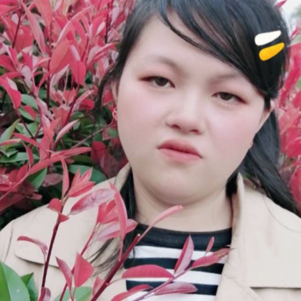 可爱深拥小海豚的照片