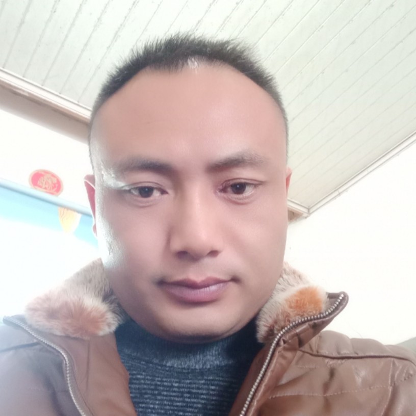 腼腆便当的照片