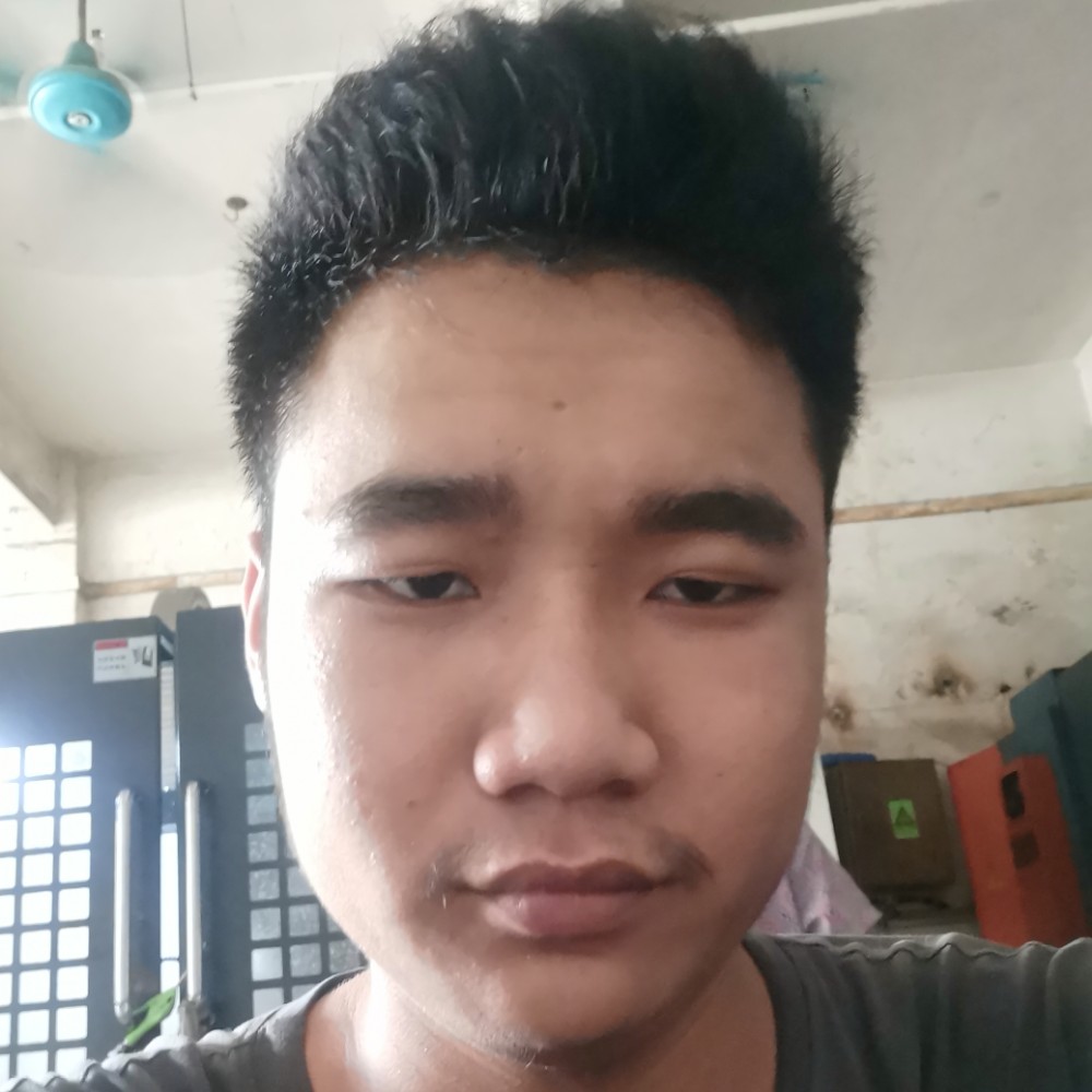 猫咪文静的照片