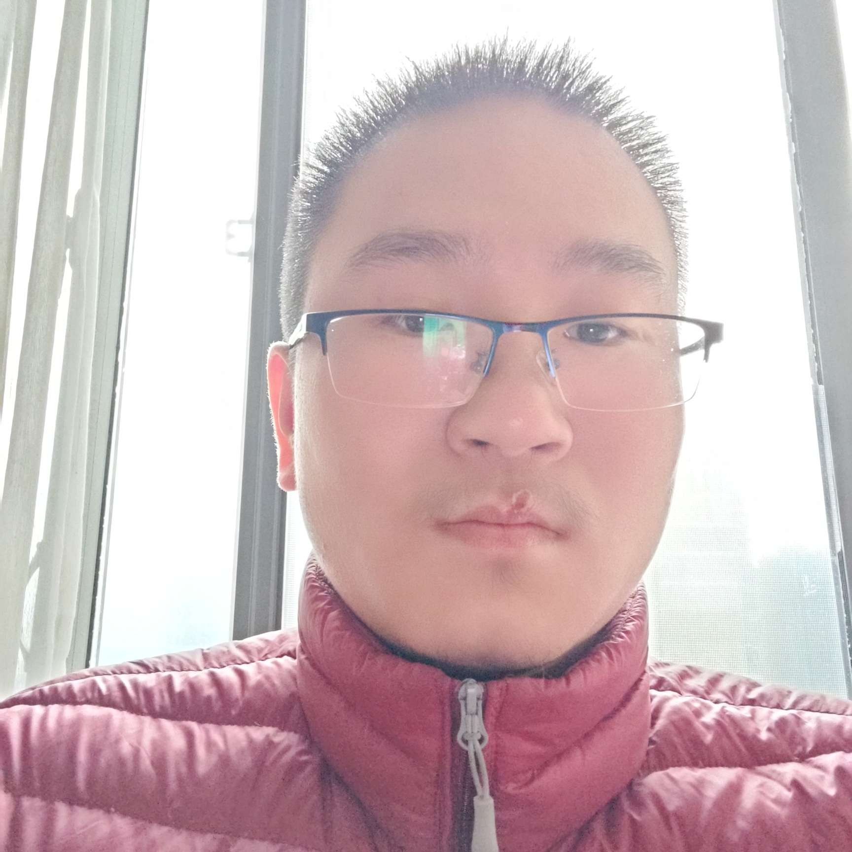 吱吱老鼠的照片