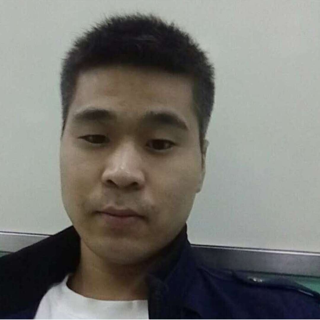 迷路大白杨的照片
