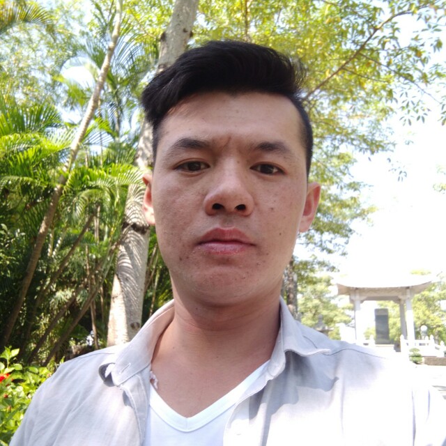 幽默刺猬的照片