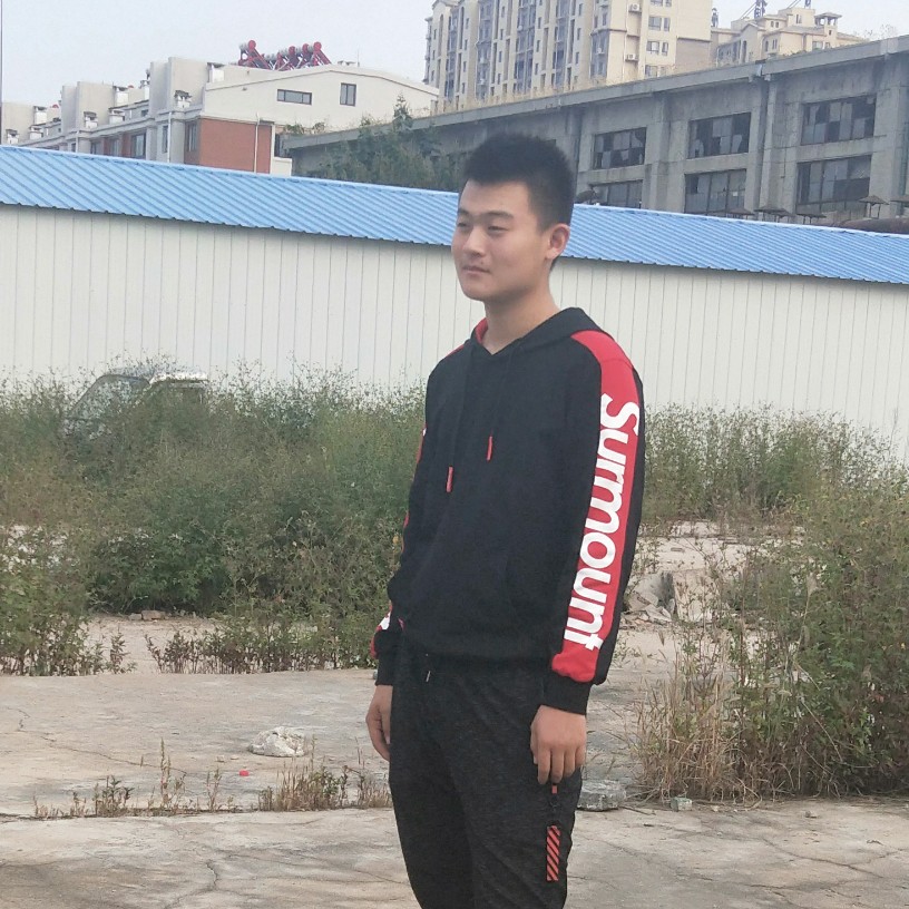 健忘鼠标的照片