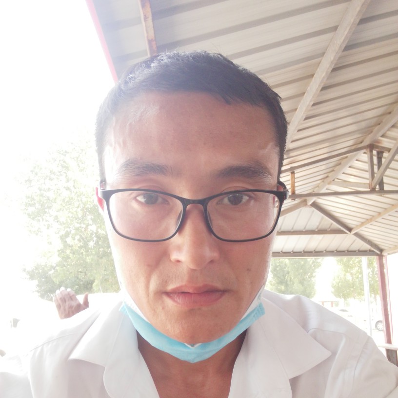 欣喜停止向日葵的照片