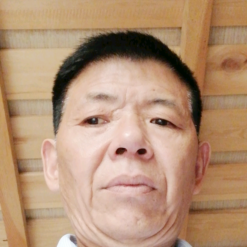 康乃馨邂逅外向的照片