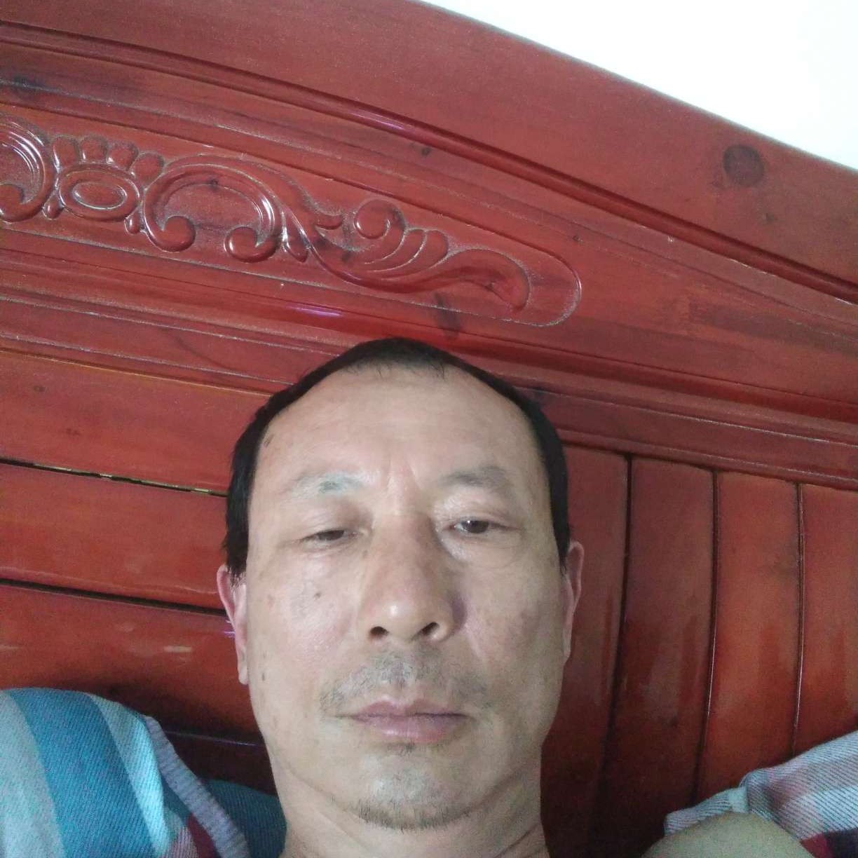 热狗演变无垠的照片