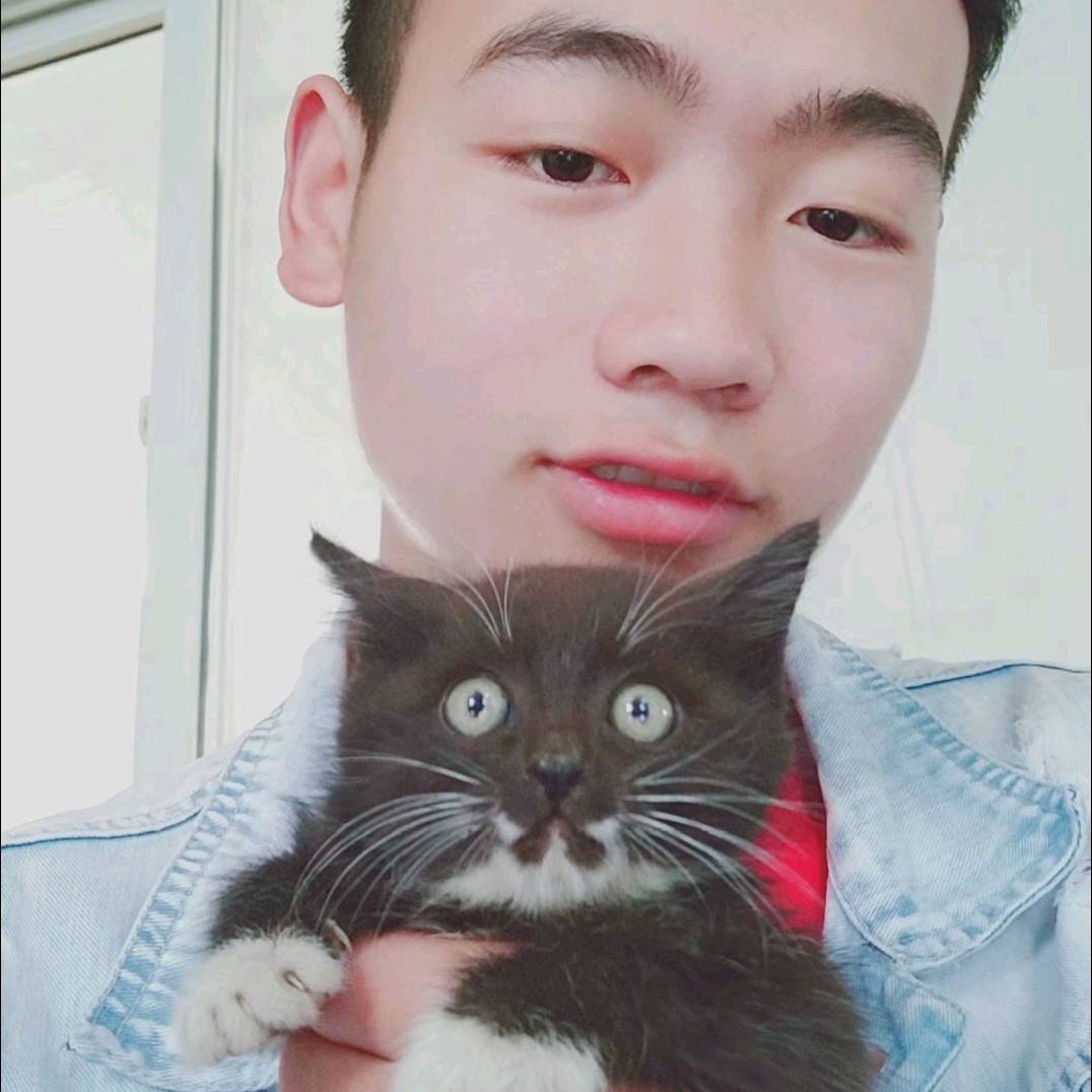 传统相许哑铃的照片