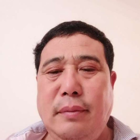 忧郁就小刺猬的照片