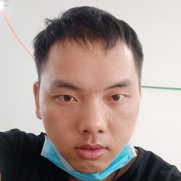 小猫咪放弃从容的照片