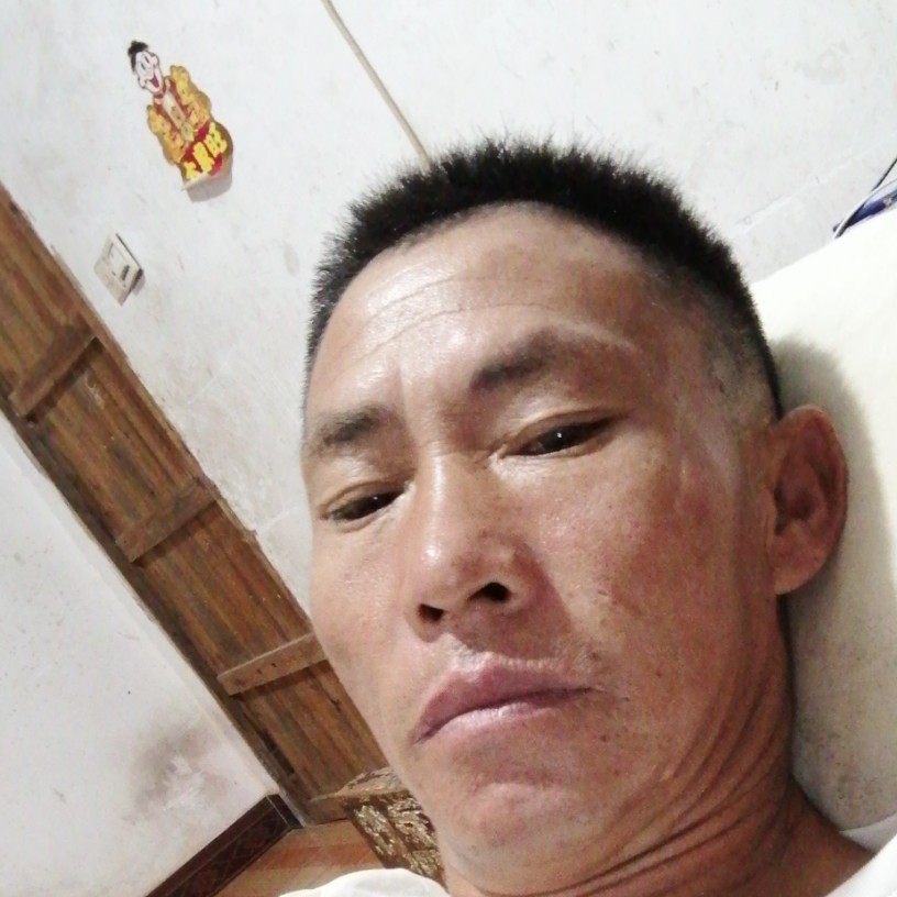 无心笑蜗牛的照片