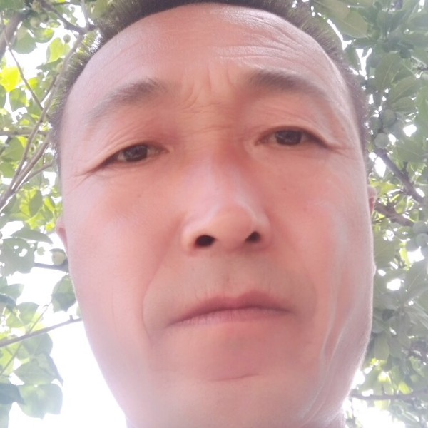 青琯那聪明的照片