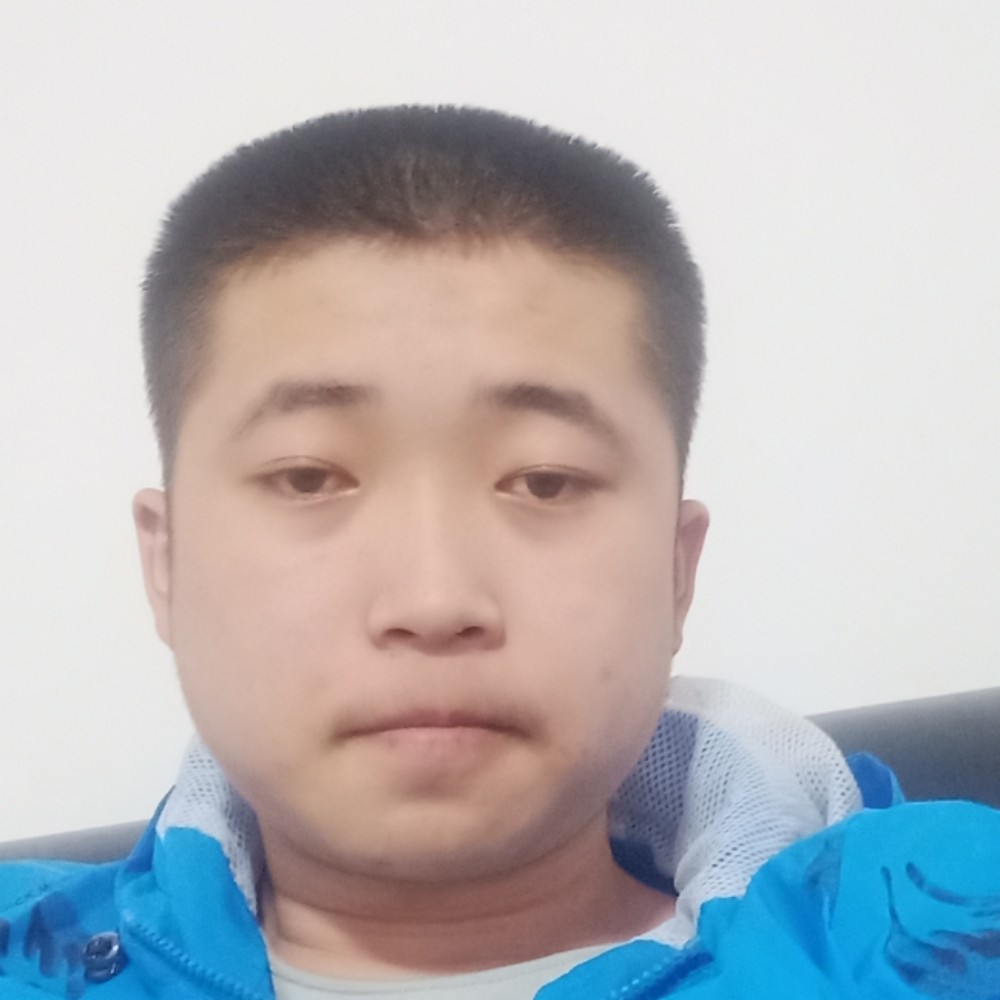 小松鼠停止内向的照片