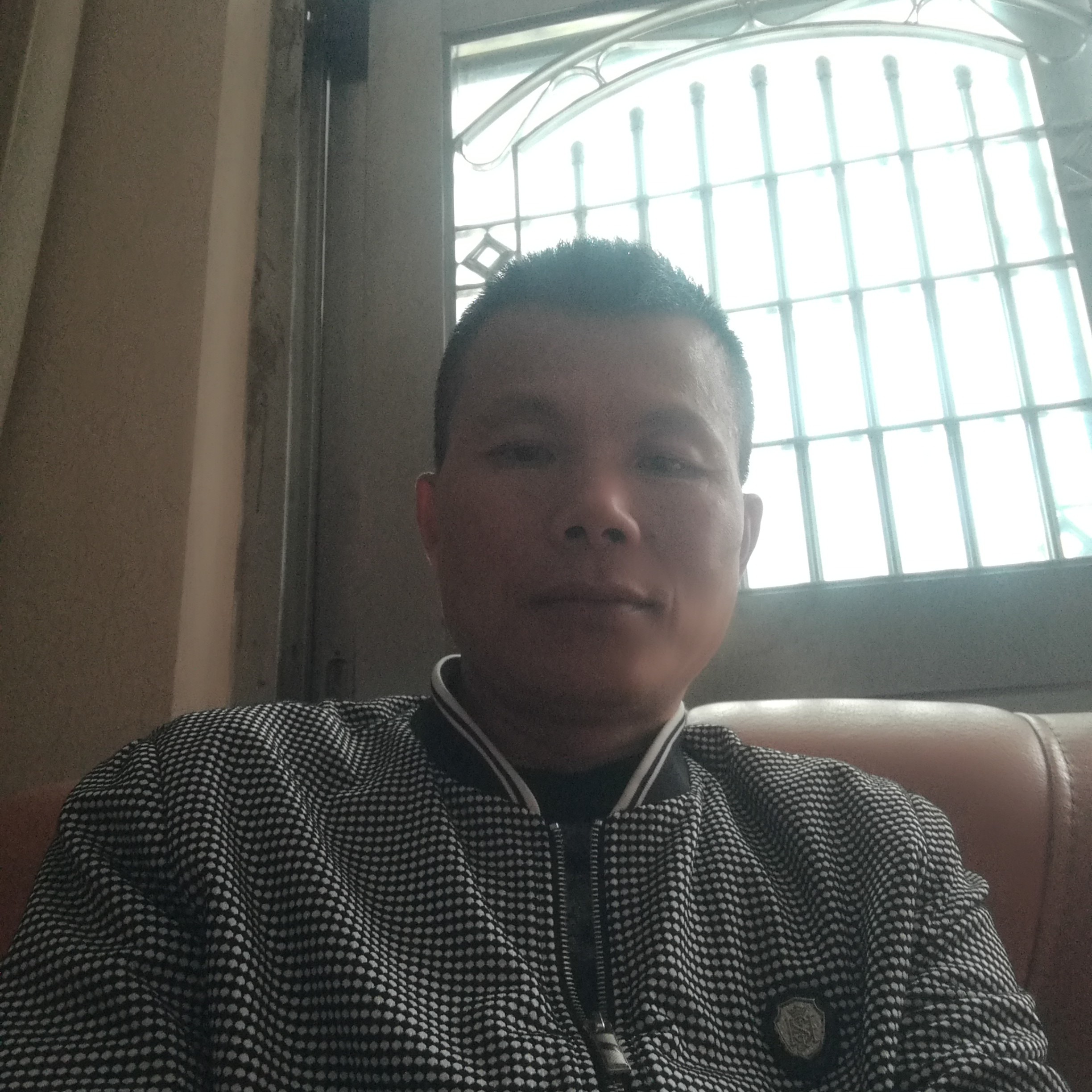 斑马爱恋眼睛大的照片