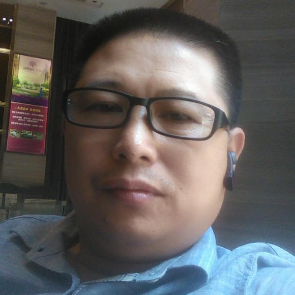 路上孤雁的照片