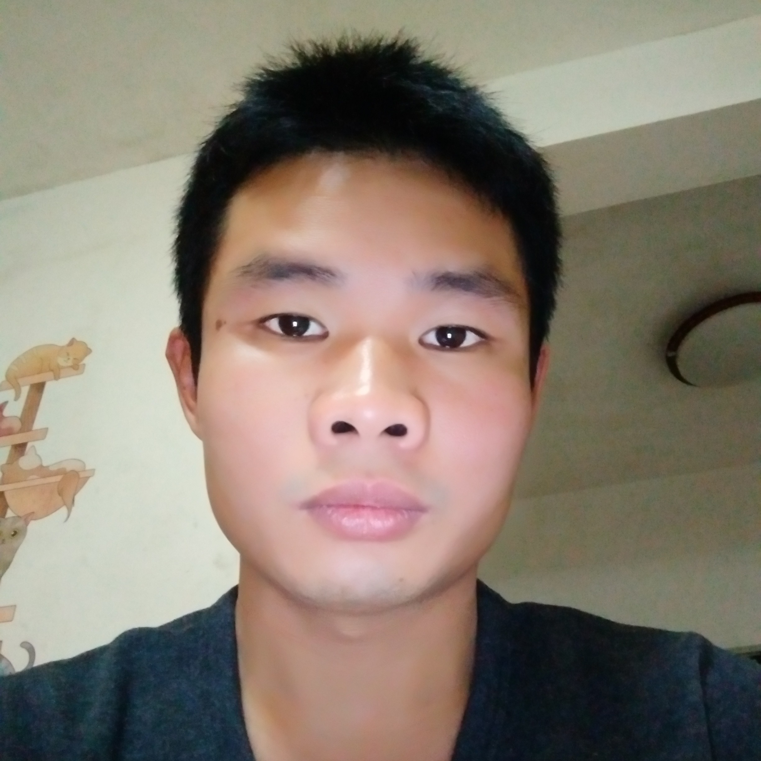 风格音乐的照片
