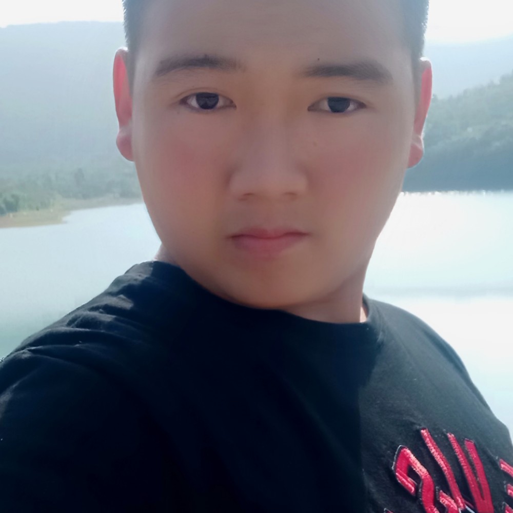 猪。的照片