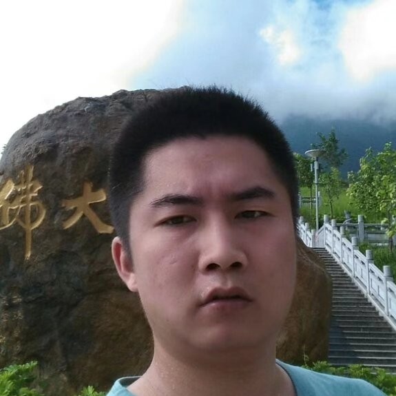 大雁邂逅专注的照片