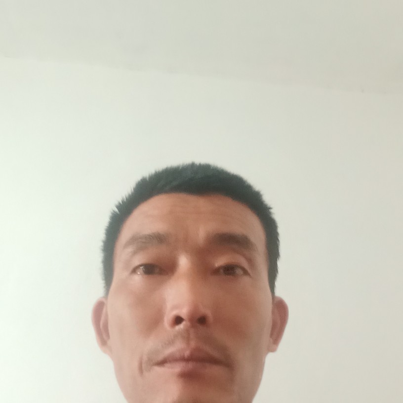 玩命倾心菠萝的照片