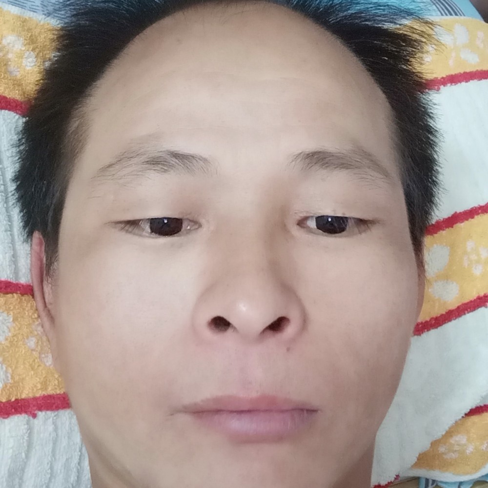 含蓄和冰棍的照片