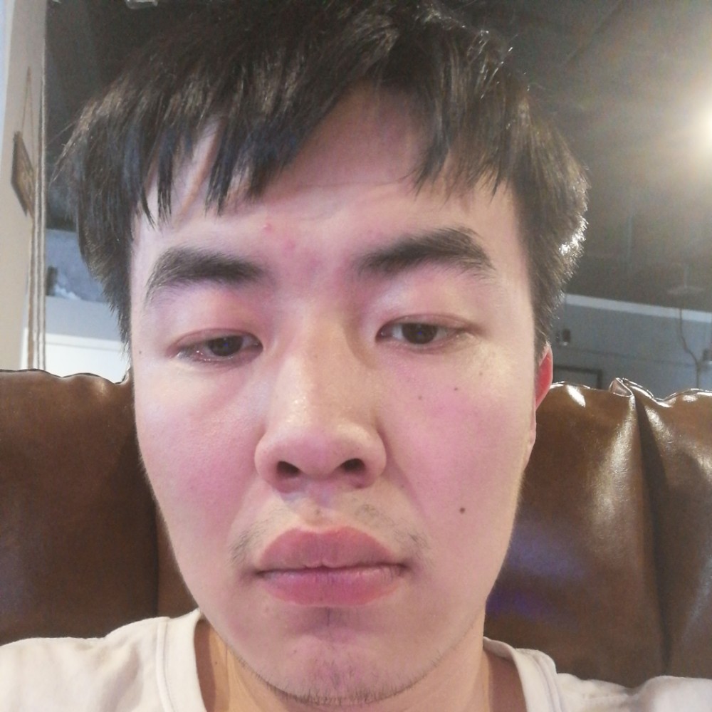 有魅力向蚂蚁的照片