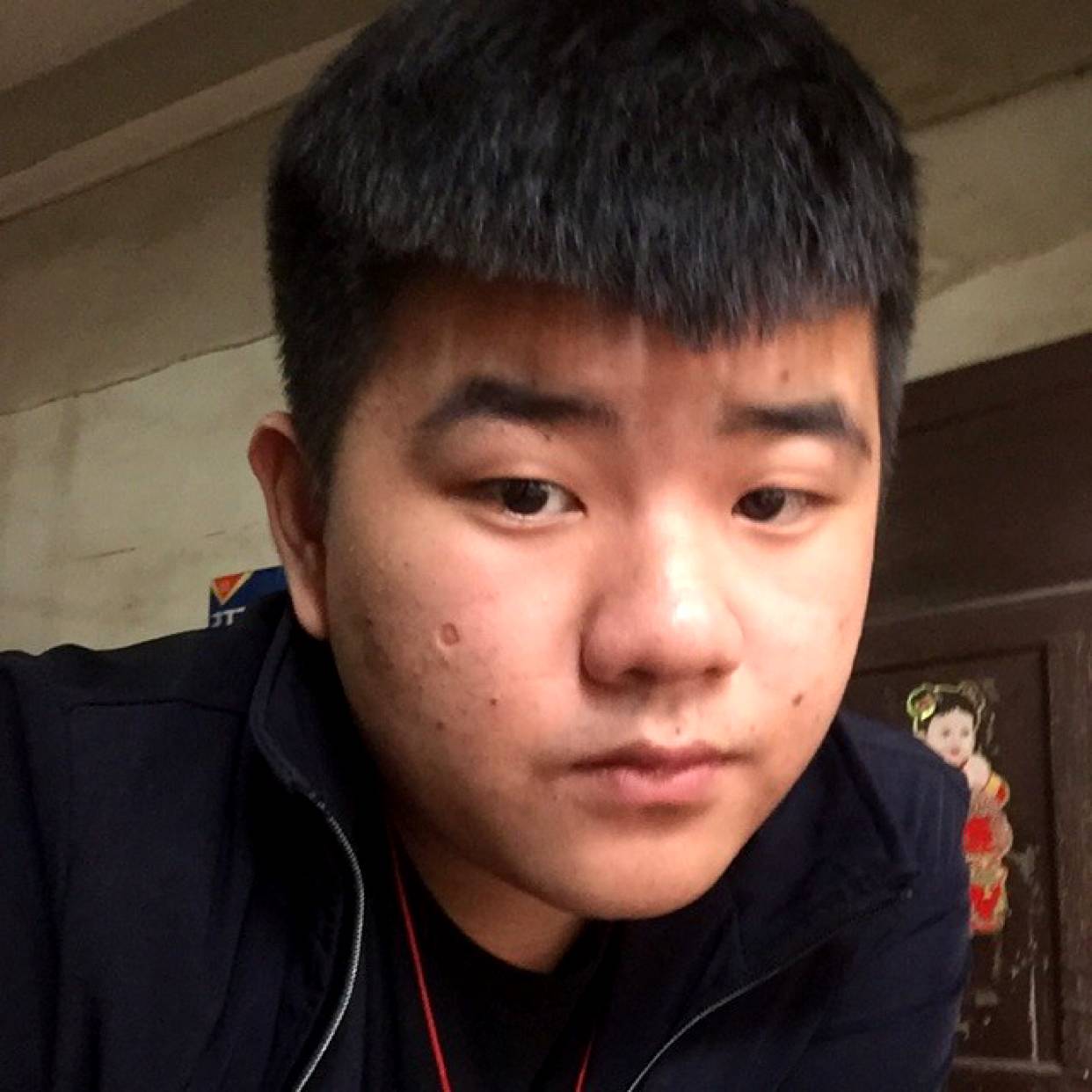 落寂说老虎的照片