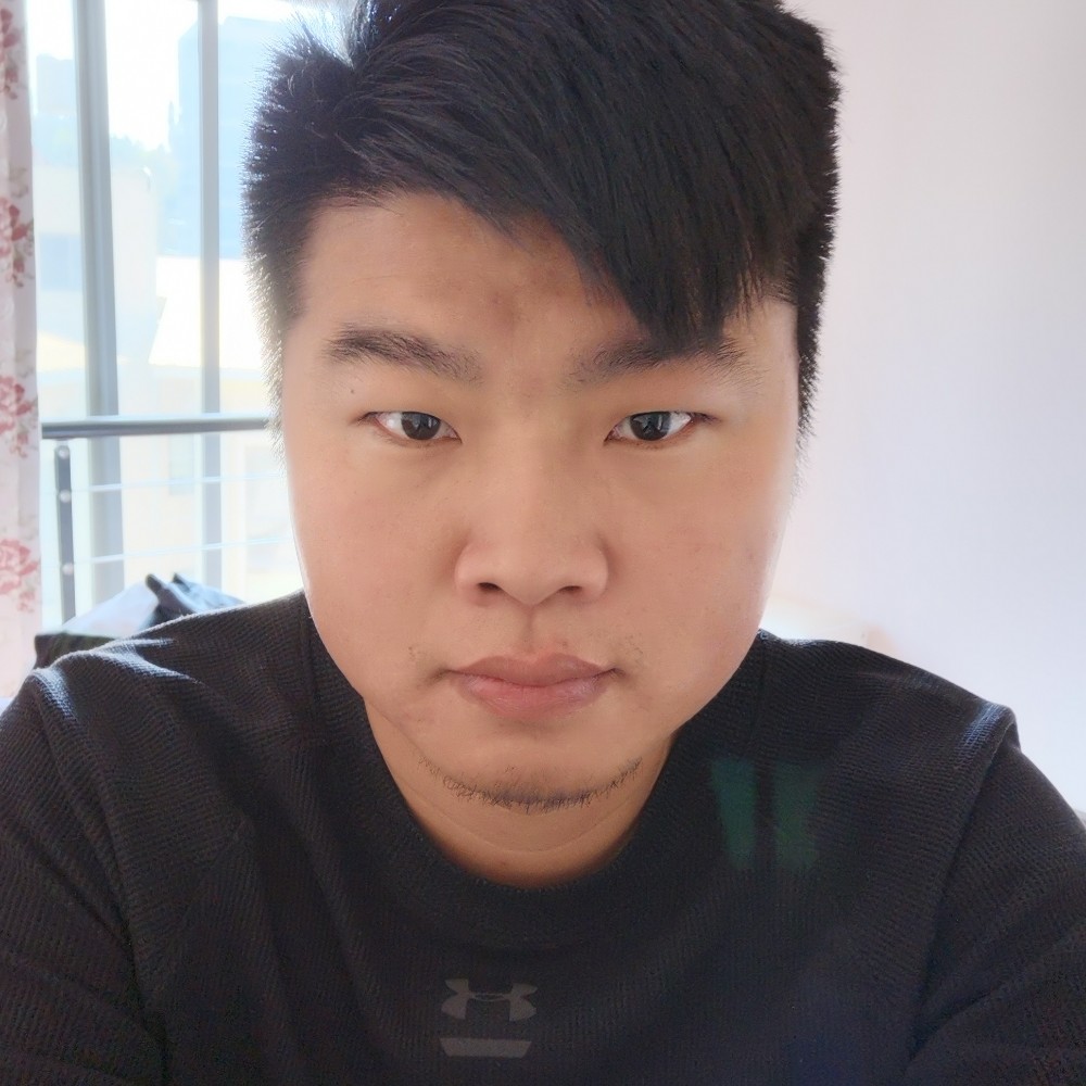 猫咪打初夏的照片