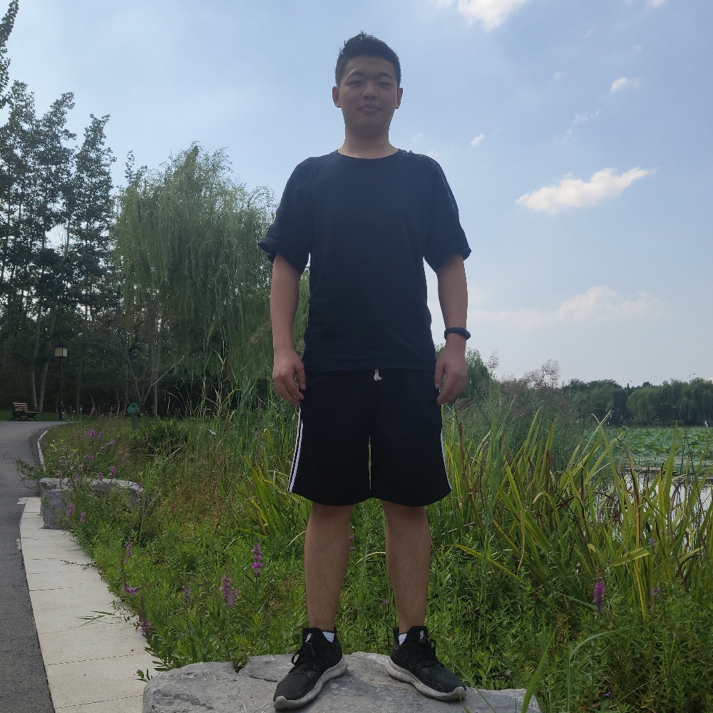 夏露蹁跹风中的照片
