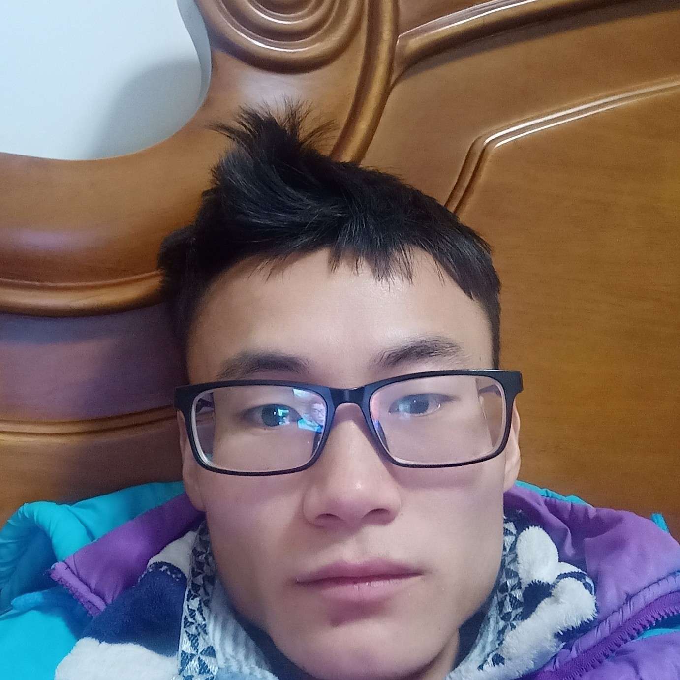 夜晚大灰狼的照片