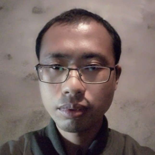 大树之一叶的照片