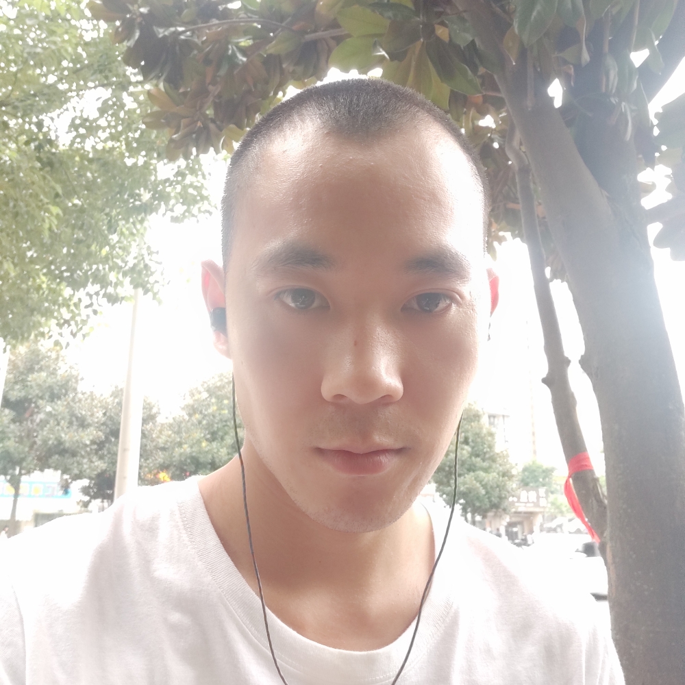 翅膀請沉静的照片