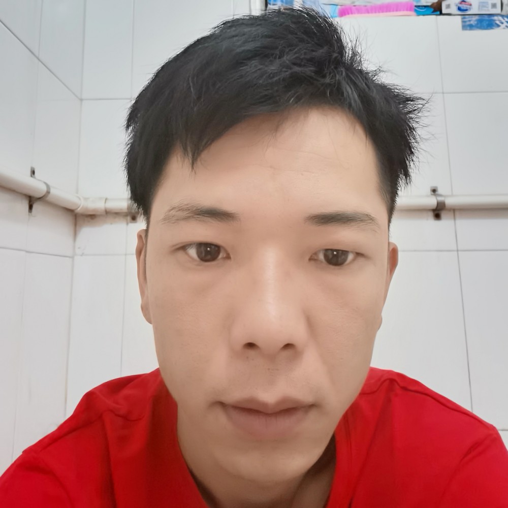 细腻的蚂蚁的照片